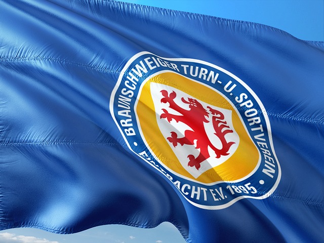 不仅提高了