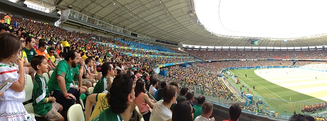 他以其