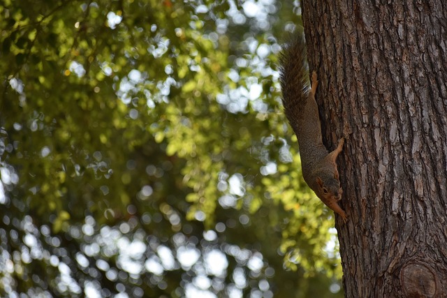 才能在中超 才能在中超