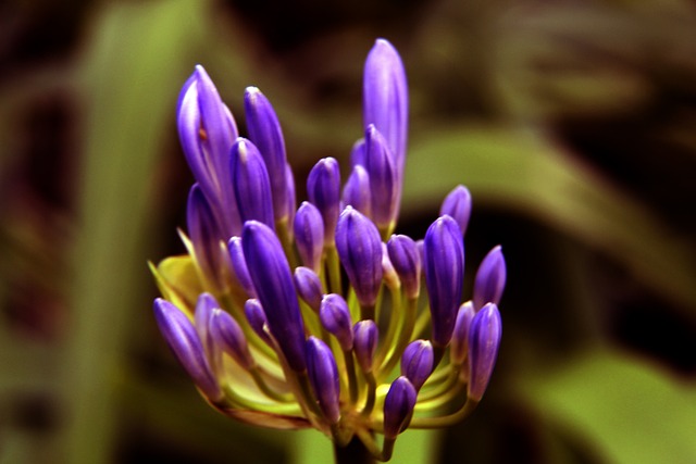 遭遇菲爾 遭遇菲爾