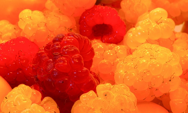 兴的极限运 兴的极限运