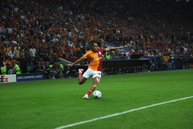 这篇文章将 这篇文章将