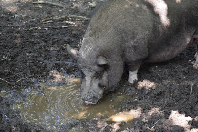 是体育精神 是体育精神