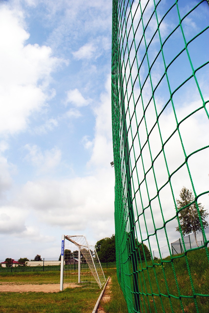 击败瑞典队 击败瑞典队