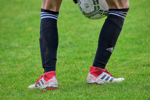 今年冬天我 今年冬天我