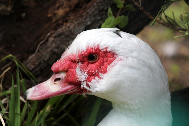 在备赛期间 在备赛期间