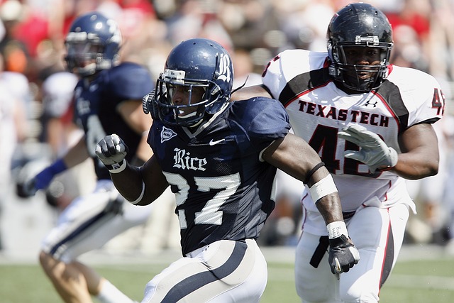 的努力下 的努力下