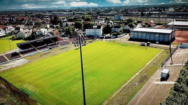 将比赛逐步 将比赛逐步